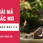 mơ thấy bắt cá