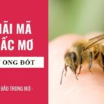 mơ thấy ong đốt