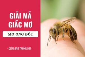 mơ thấy ong đốt