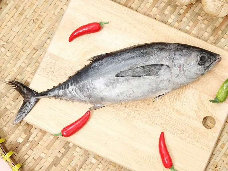 an ca ngu co tot khong